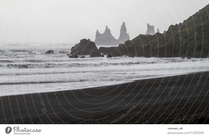 Godzilla beim Schnorcheln Umwelt Natur Landschaft Urelemente Erde Sand Wasser Horizont schlechtes Wetter Nebel Moos Strand Fjord Stein ästhetisch bedrohlich