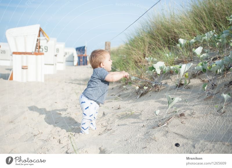 düne Baby Kleinkind Junge Familie & Verwandtschaft Kindheit Leben 1 Mensch 0-12 Monate Sand Wolkenloser Himmel Sommer Schönes Wetter Küste Strand Ostsee Meer