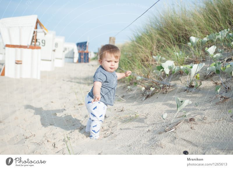 an der düne Ferien & Urlaub & Reisen Ausflug Ferne Freiheit Sommer Sommerurlaub Sonne Strand Meer Insel Kind Baby Junge Kindheit Leben 1 Mensch 0-12 Monate