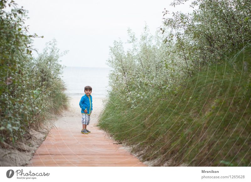 auf dem Weg Ferien & Urlaub & Reisen Ausflug Abenteuer Sommer Sommerurlaub Strand Meer Kind Junge Kindheit Leben 1 Mensch 3-8 Jahre beobachten rennen Blick