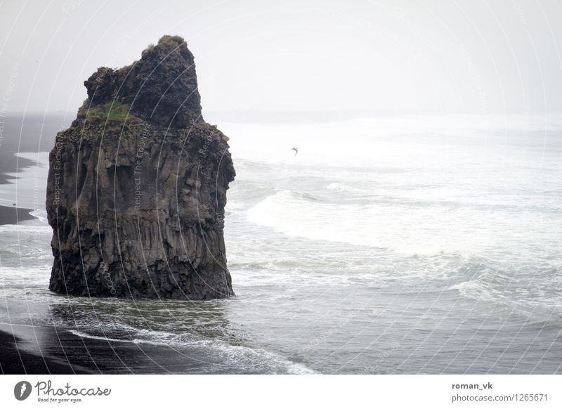 Wellenbrecher Natur Landschaft Urelemente Erde Wasser schlechtes Wetter Wind Nebel Regen Felsen Küste Strand Fjord alt maritim trist wild Stimmung Kraft Stolz