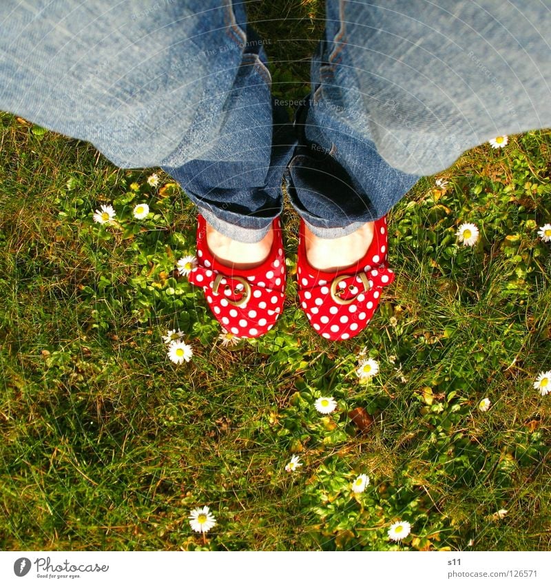 In Her Shoes II Haut Sommer Frau Erwachsene Fuß Natur Pflanze Frühling Blume Gras Blüte Wiese Bekleidung Hose Jeanshose Schuhe blau grün rot weiß gehorsam Punkt