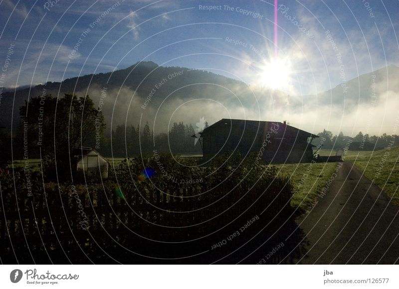 guten Morgen! Sonnenaufgang Sonnenstrahlen Physik frisch Nebel Bodennebel Morgennebel Scheune grün gelb Schweiz Saanenland Wärme Straße Garten Berge u. Gebirge