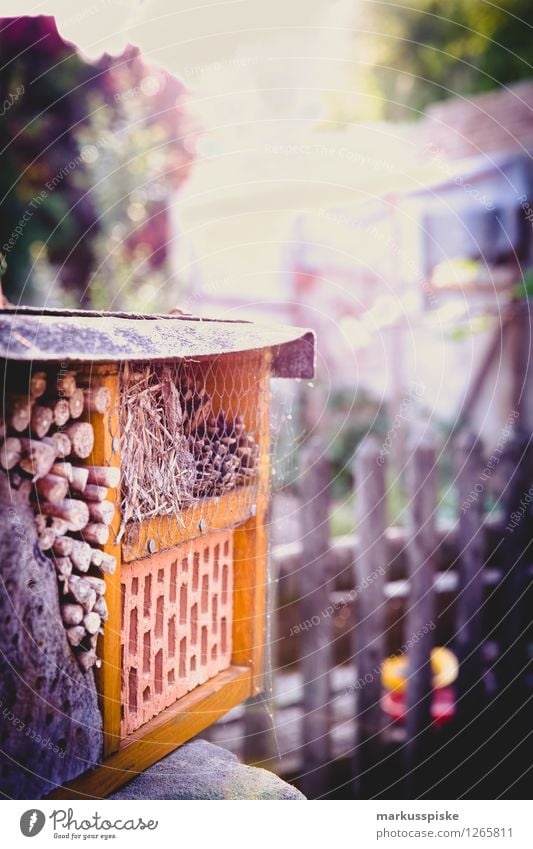 insektenhotel Freizeit & Hobby Ferien & Urlaub & Reisen Tourismus Häusliches Leben Wohnung Haus Garten Umwelt Natur Pflanze Tier Sonne Schönes Wetter Blatt