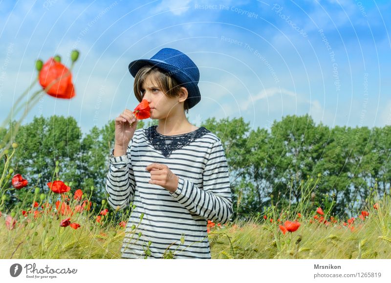 mohnfeld Kind Mädchen Kindheit Jugendliche 1 Mensch 8-13 Jahre stehen träumen Mohn Mohnblüte Mohnfeld Feld Feldfrüchte Hut Strohhut Geruch Duft pflücken brünett