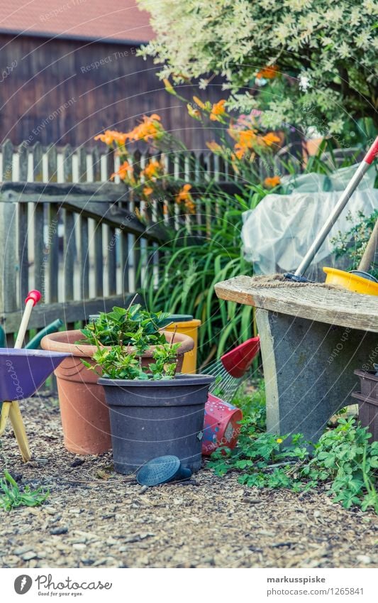 aufzucht urban gardening Lebensmittel Gemüse Salat Salatbeilage Bioprodukte Vegetarische Ernährung Diät Fasten Slowfood Lifestyle Gesunde Ernährung Wohlgefühl