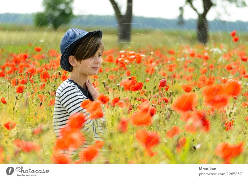 mohnfeld Mensch feminin Mädchen Kindheit Jugendliche 1 8-13 Jahre Natur Landschaft Pflanze Schönes Wetter Wiese Feld schön Mohn Mohnfeld Mohnblüte Blühend Hut