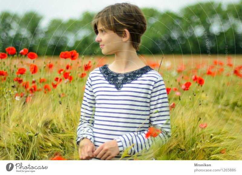 mohnfeld Mädchen Kindheit Jugendliche Leben 1 Mensch 8-13 Jahre Sommer Feld Blühend Blick stehen fantastisch frei Glück Unendlichkeit Mohn Mohnblüte Feldfrüchte