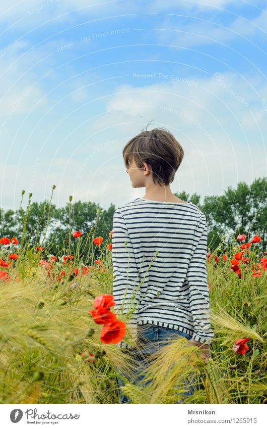 im Feld feminin Mädchen Kindheit Jugendliche Leben Rücken 1 Mensch 8-13 Jahre Natur Pflanze Tier Schönes Wetter Wiese schön mädchenhaft Mädchenhaare