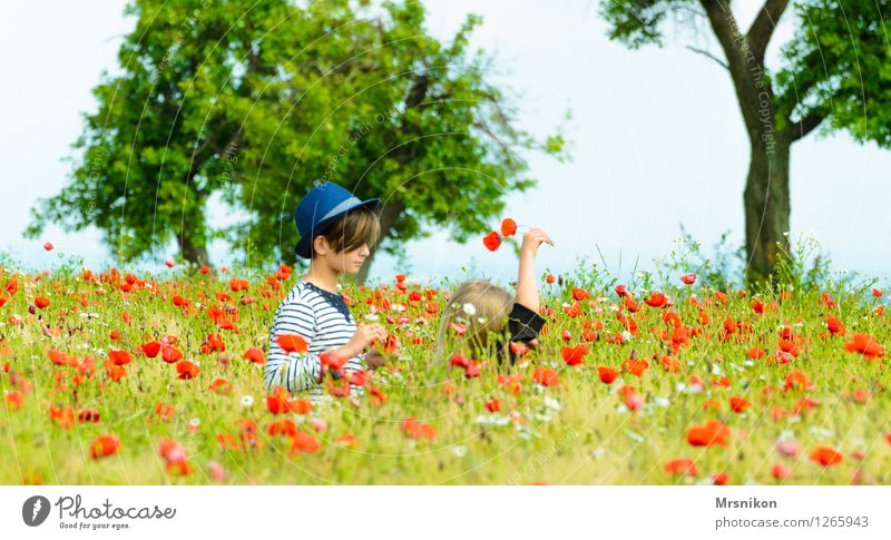 folgt mir feminin Kind Mädchen Geschwister Schwester Kindheit Jugendliche Leben 2 Mensch Kindergruppe 3-8 Jahre 8-13 Jahre mädchenhaft folgend Hut Strohhut Mohn