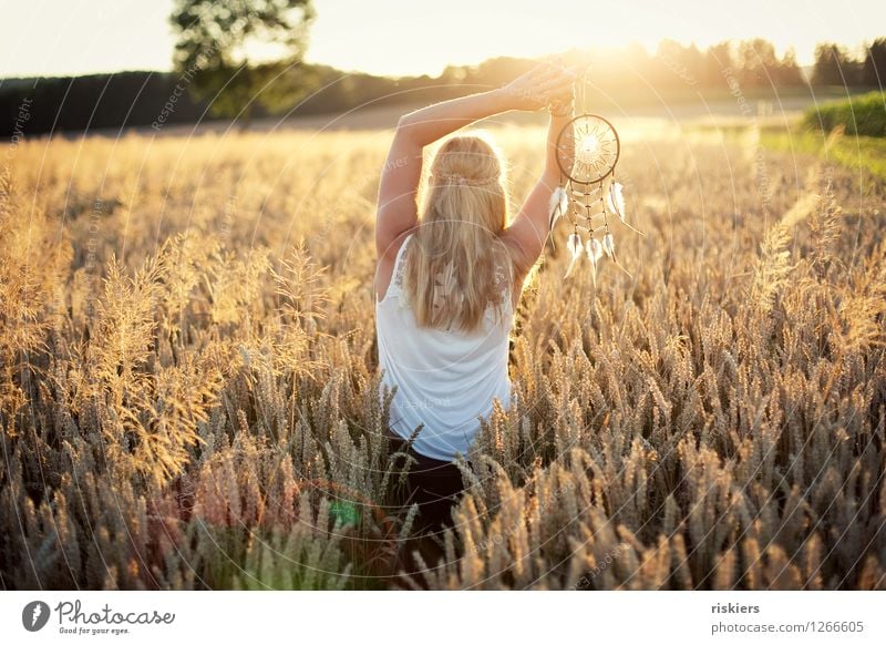 Lichtfänger Mensch feminin Junge Frau Jugendliche Erwachsene 1 18-30 Jahre 30-45 Jahre Umwelt Natur Landschaft Sommer Schönes Wetter Wärme Feld leuchten träumen