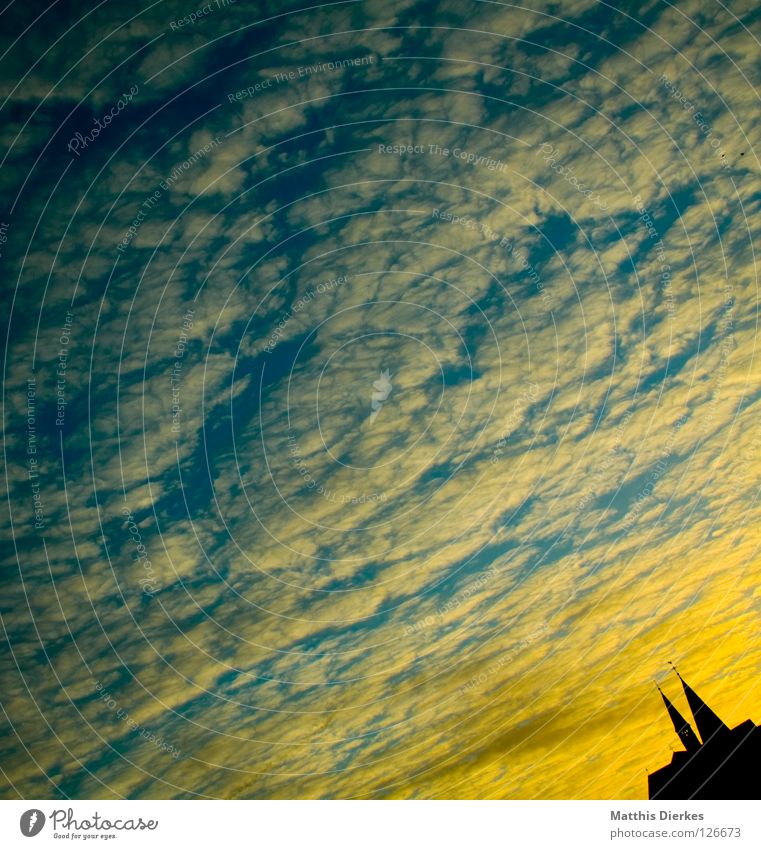 Downside up Sommer Gebäude Wolken schwarz Ferne Baum Schleier Luftverkehr Kollision Sonnenuntergang Physik Balkon Farbverlauf Kondensstreifen Arnsberg Sauerland