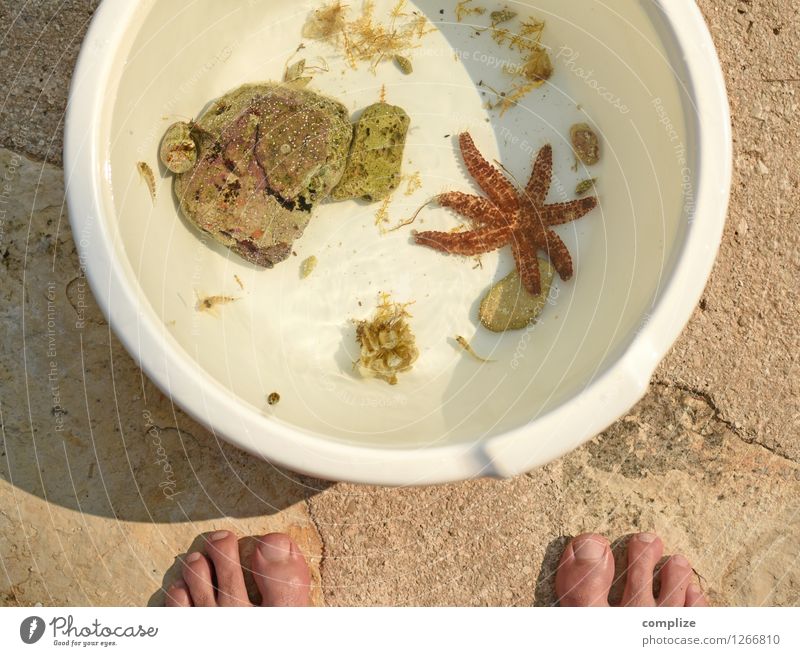 Catch of the Day Fisch Meeresfrüchte Becher exotisch Freizeit & Hobby Spielen Angeln Ferien & Urlaub & Reisen Abenteuer Sommer Sommerurlaub Umwelt Natur Wasser