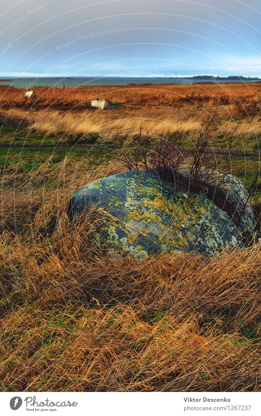 Ein halber Stein im gelben Gras und Boot gehackt Strand Meer Insel Seil Natur Landschaft Himmel Horizont Wind Felsen Küste See Wasserfahrzeug alt nah retro blau