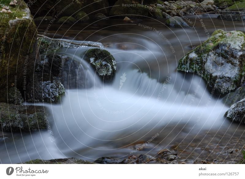 Weiches Wasser schön Berge u. Gebirge Landschaft Bach Wasserfall kalt weich Wildbach Schwarzwald Schauinsland Mittelgebirge graufilter Langzeitbelichtung