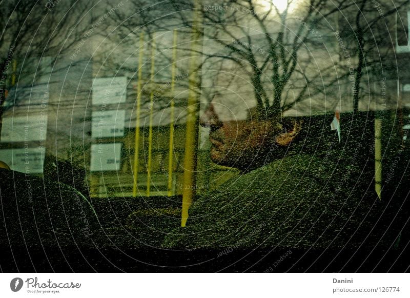 geh mal Herbst fahren Mann Baum Bus Fenster Langeweile mude durch glass Himmel