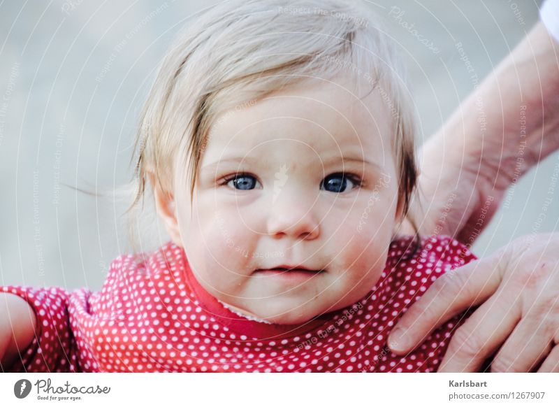 Laufen lernen Lifestyle Muttertag Geburtstag Kindererziehung Kindergarten Mensch feminin Kleinkind Kindheit 1 0-12 Monate Baby 1-3 Jahre Erfolg Kraft