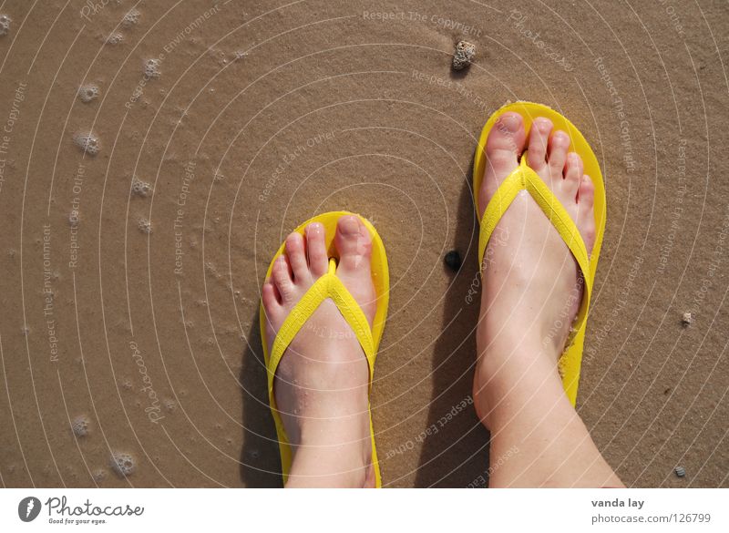 Strandläufer Flipflops Badelatschen Zehen Meer Sommer Ferien & Urlaub & Reisen gelb Schuhe Kieselsteine Vogelperspektive Frau Sommerurlaub Sommerschuh Sandale