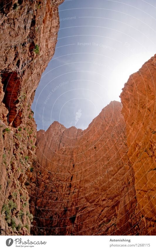 hohe Mauern Umwelt Natur Landschaft Himmel Wolkenloser Himmel Sonne Sonnenlicht Sommer Wetter Schönes Wetter Felsen Berge u. Gebirge Schlucht Todra-Schlucht