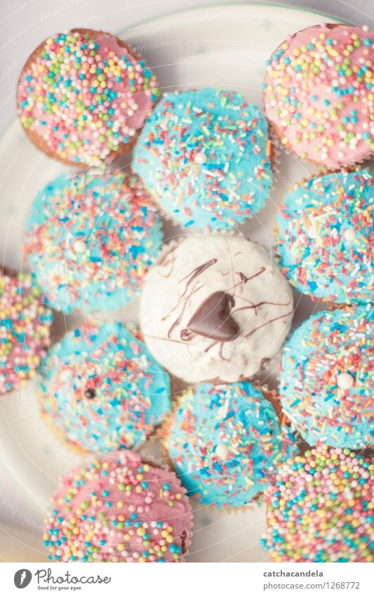 Cupcake Love Lebensmittel Teigwaren Backwaren Muffin Kaffeetrinken Valentinstag Hochzeit Geburtstag Herz Essen genießen Kitsch süß blau mehrfarbig rosa türkis