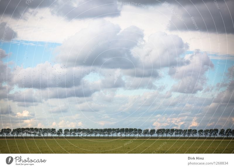 . Ferien & Urlaub & Reisen Tourismus Ausflug Ferne Sommerurlaub Meer Umwelt Natur Landschaft Himmel Wolken Horizont Schönes Wetter Pflanze Baum Wiese Küste