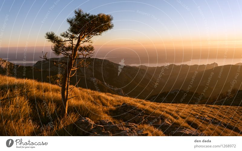 wandern in Paklenica Ferien & Urlaub & Reisen Tourismus Abenteuer Ferne Camping Sommer Berge u. Gebirge Landschaft Wolkenloser Himmel Felsen Velebit Gipfel