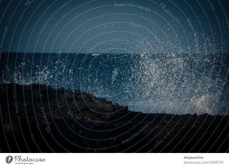 Viel Meer und eine sehr starke Brandung an den Felsen. Freude Leben Ferne Wasser Schönes Wetter Queensland Australien Menschenleer Stein beobachten entdecken