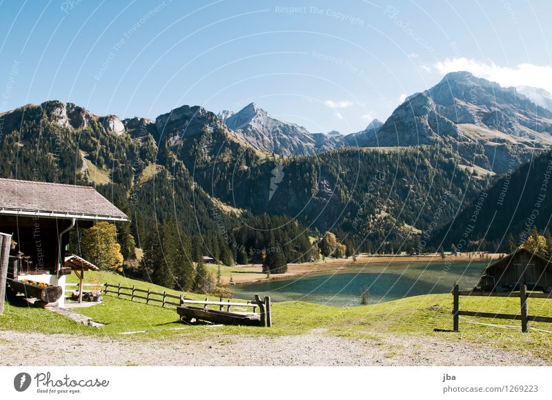 Lauenensee Erholung ruhig Wohnung Haus Traumhaus Ferienhaus Natur Landschaft Herbst Schönes Wetter Alpen Berge u. Gebirge Seeufer Saanenland Schweiz Hütte Zaun