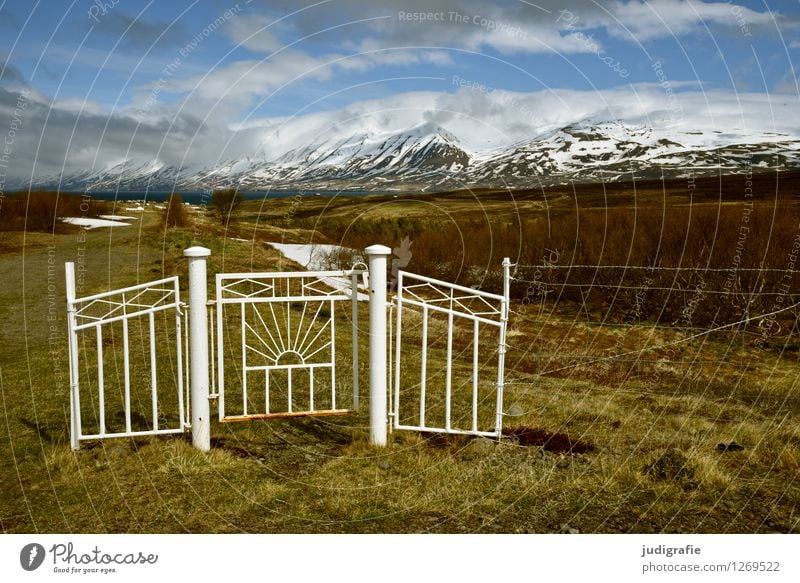 Island Umwelt Natur Landschaft Himmel Wolken Klima Wetter Eis Frost Hügel Berge u. Gebirge Gipfel Schneebedeckte Gipfel Tor kalt natürlich wild Beginn