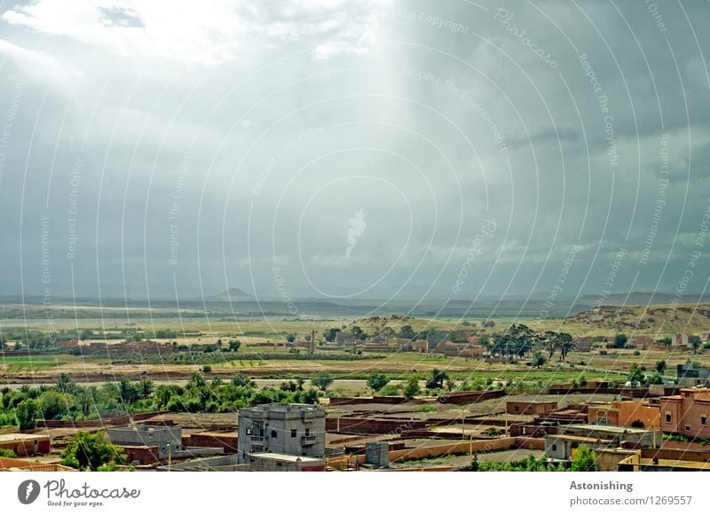 unendliche Weiten Umwelt Natur Landschaft Pflanze Himmel Wolken Gewitterwolken Sonne Sommer Wetter schlechtes Wetter Unwetter Wind Regen Baum Gras Wiese Feld