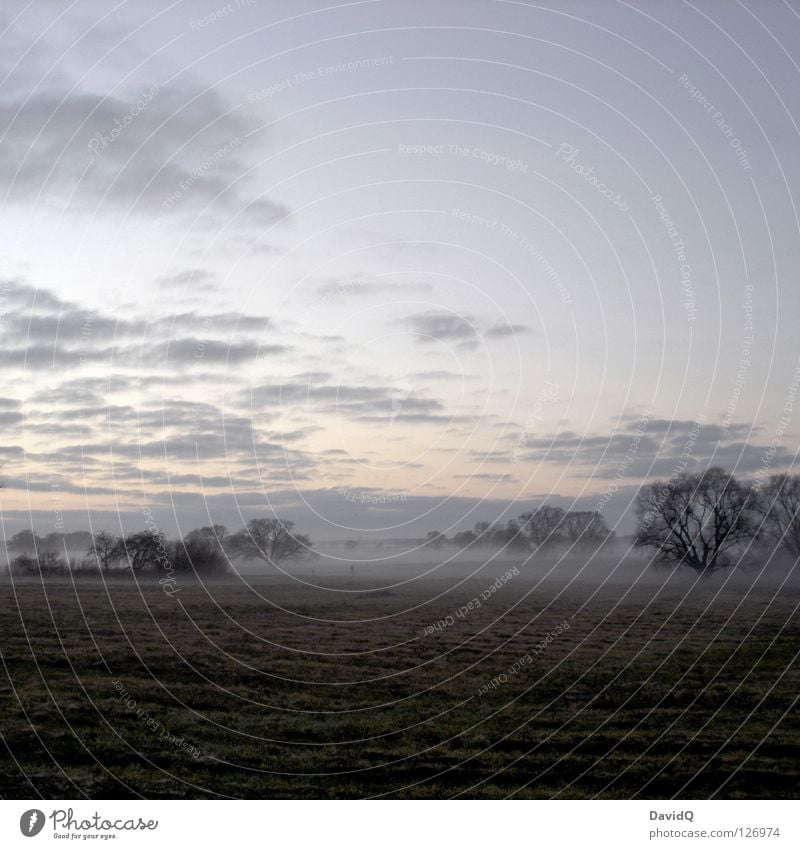 hinterm deich Abend dunkel Dämmerung Sonnenuntergang Nebel aufsteigen ausbreiten fließen Ferne Baum Sträucher Wolken kalt tief rein Wiese Gras Matten Rasen