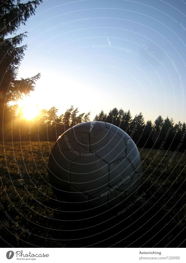 BallNacht dunkel Licht Wiese Stimmung Leder Abend Sonne Himmerl Fußball 1 Gegenlicht Sonnenuntergang Abendsonne Himmel Menschenleer Außenaufnahme Farbfoto