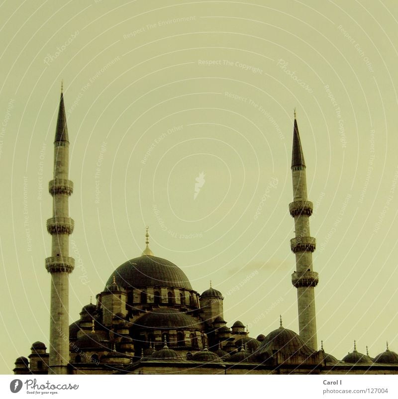 Minarett Moschee Gebet Allah Götter Glaube Ferien & Urlaub & Reisen Kunst Istanbul Türkei Religion & Glaube Teppich Kuppeldach Gotteshäuser Moslem Tradition