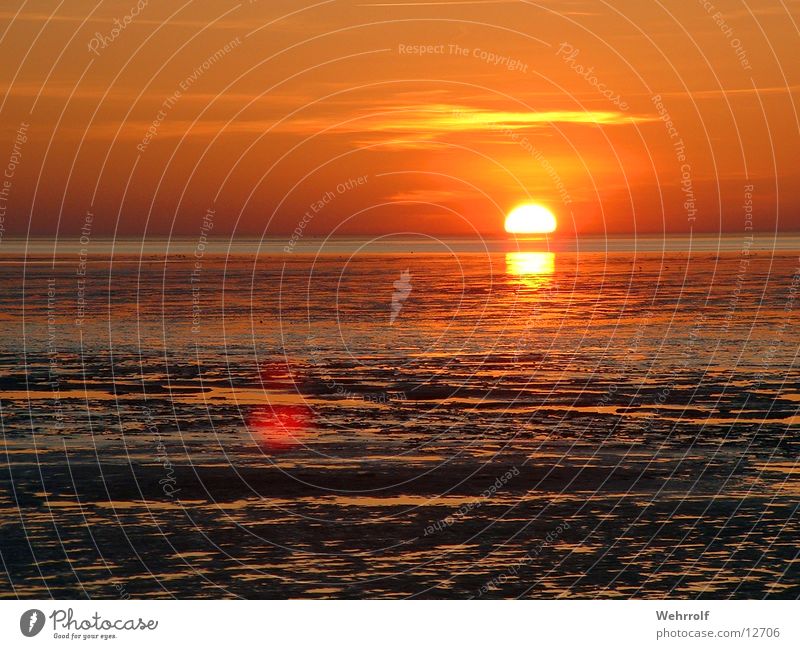 Sonnenuntergang 3 Gras Meer Sehnsucht Natur Wasser Wattenmeer Sonnenutergang