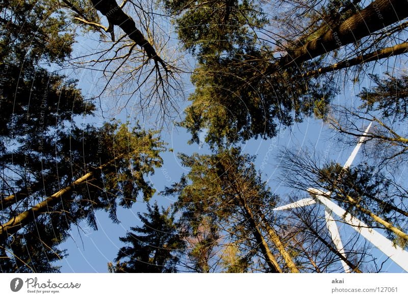 Windkraft am Roßkopf 8 Himmel Nadelbaum Wald himmelblau Geometrie Laubbaum Perspektive Nadelwald Waldwiese Paradies Waldlichtung Windkraftanlage Elektrizität