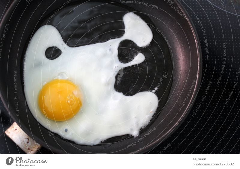 Erst mal ein Ei in die Pfanne ... Lebensmittel Spiegelei Eigelb Protein Ernährung Frühstück Mittagessen Büffet Brunch Bioprodukte Vegetarische Ernährung Diät