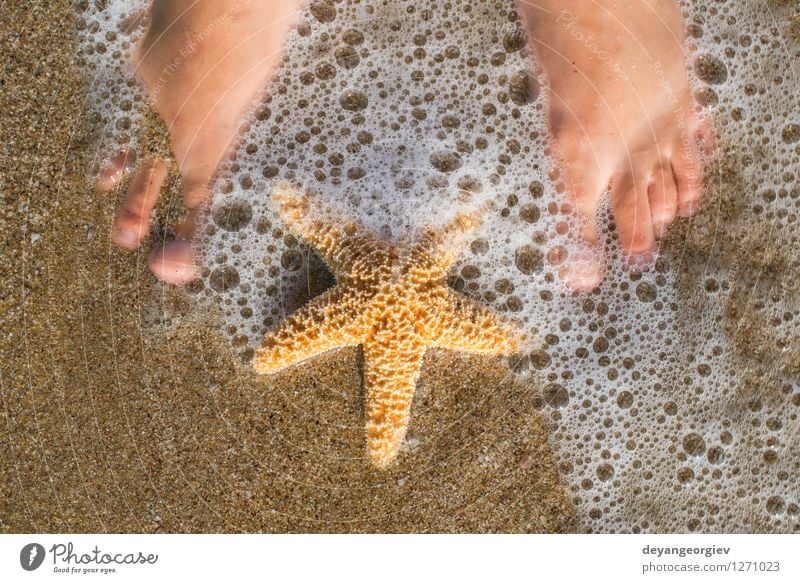 Seestern und Füße am Strand Design Körper Erholung Ferien & Urlaub & Reisen Sommer Sonne Meer Mensch Mädchen Frau Erwachsene Fuß Natur Sand Küste blau Wasser