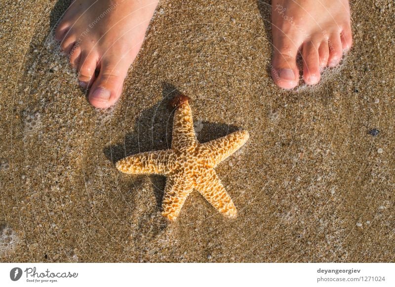 Seestern und Füße am Strand Design Körper Erholung Ferien & Urlaub & Reisen Sommer Sonne Meer Mensch Mädchen Frau Erwachsene Fuß Natur Sand Küste blau Wasser