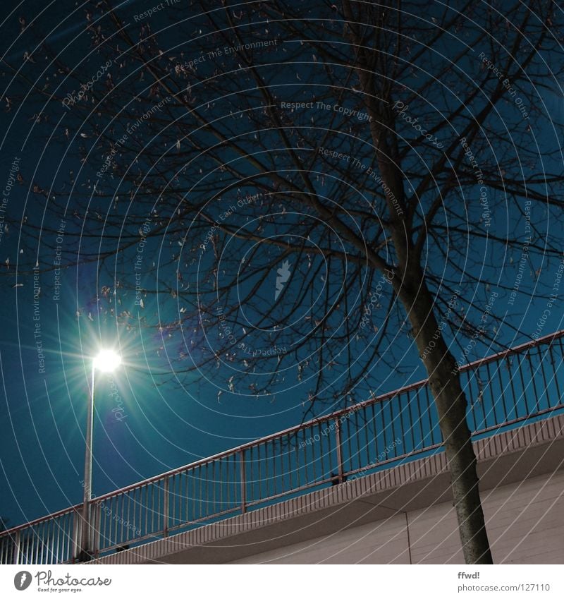 street light Lampe Laterne Straßenbeleuchtung glühen Beleuchtung Bürgersteig Baum Geäst Holz Nacht dunkel Dämmerung Einsamkeit Brücke Verkehrswege