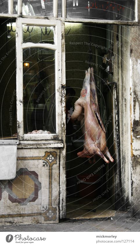 hängende sau Sau Schwein Rüssel Borsten Metzger Schweinefleisch Schaufenster Ausstellung Magen Darm dreckig Desinfektion Sauberkeit Bakterien Säugetier Tod