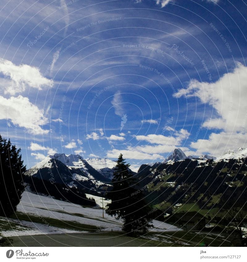 Heimat! Frühling Winter Physik schmelzen Saanenland Berg Gummfluh Baum Tanne schön Wolken Wolkenhimmel Ferien & Urlaub & Reisen ruhig Berge u. Gebirge Wärme