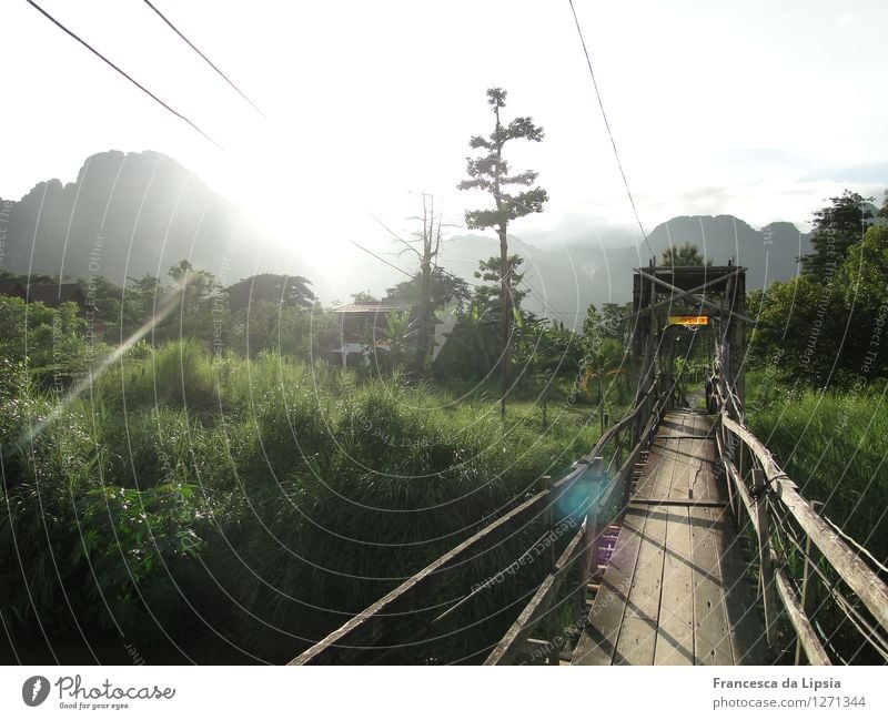 Der Weg ist das Ziel Abenteuer Ferne Freiheit Berge u. Gebirge wandern Flussufer Holz entdecken Ferien & Urlaub & Reisen leuchten träumen natürlich Neugier wild