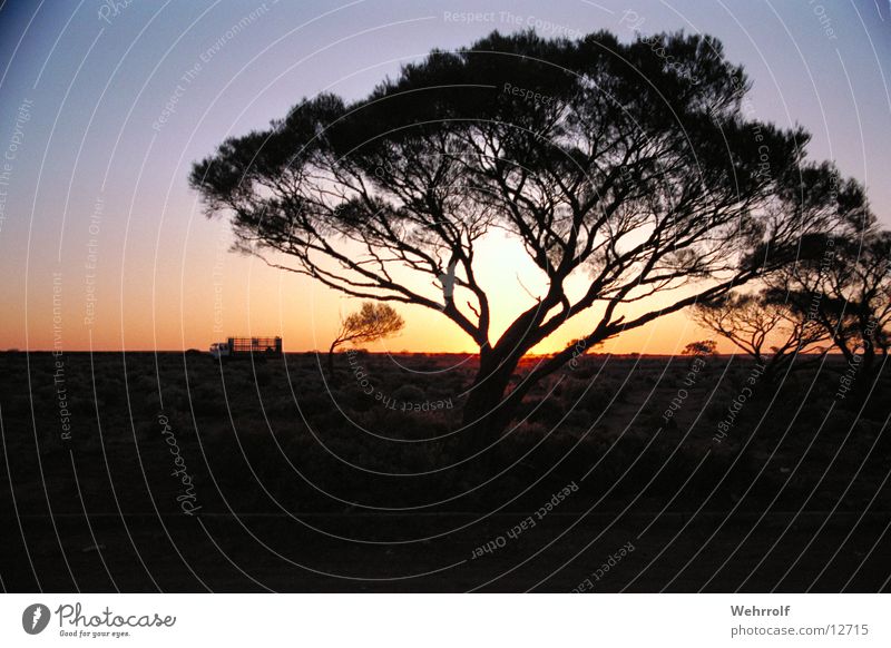 outback Australien Outback Sonnenuntergang Natur