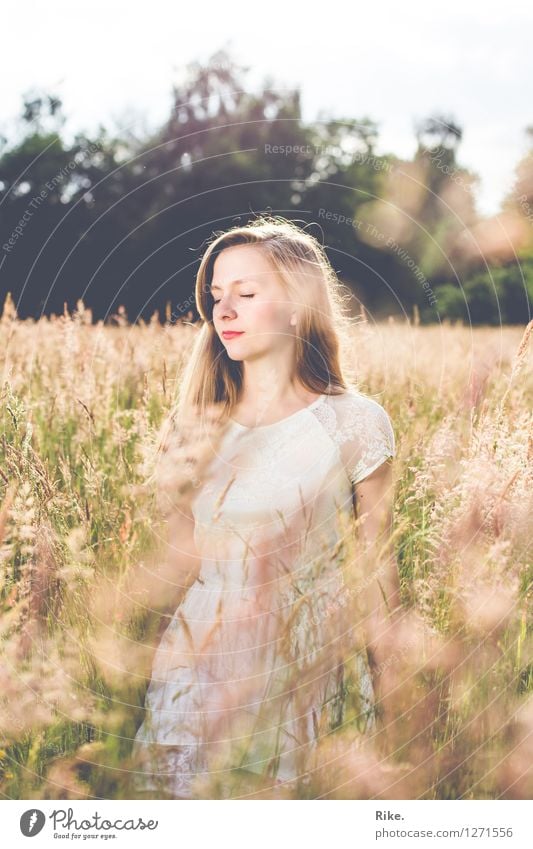 Den Sommer spüren. Mensch feminin Junge Frau Jugendliche Erwachsene 1 13-18 Jahre Kind 18-30 Jahre Umwelt Natur Landschaft Wiese Feld Kleid blond Erholung