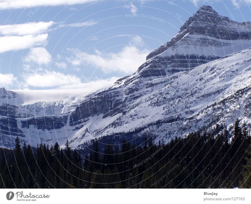 Bow Glazier / Bow Gletscher Kanada Schneelandschaft Winter Berge u. Gebirge Rocky Mountains