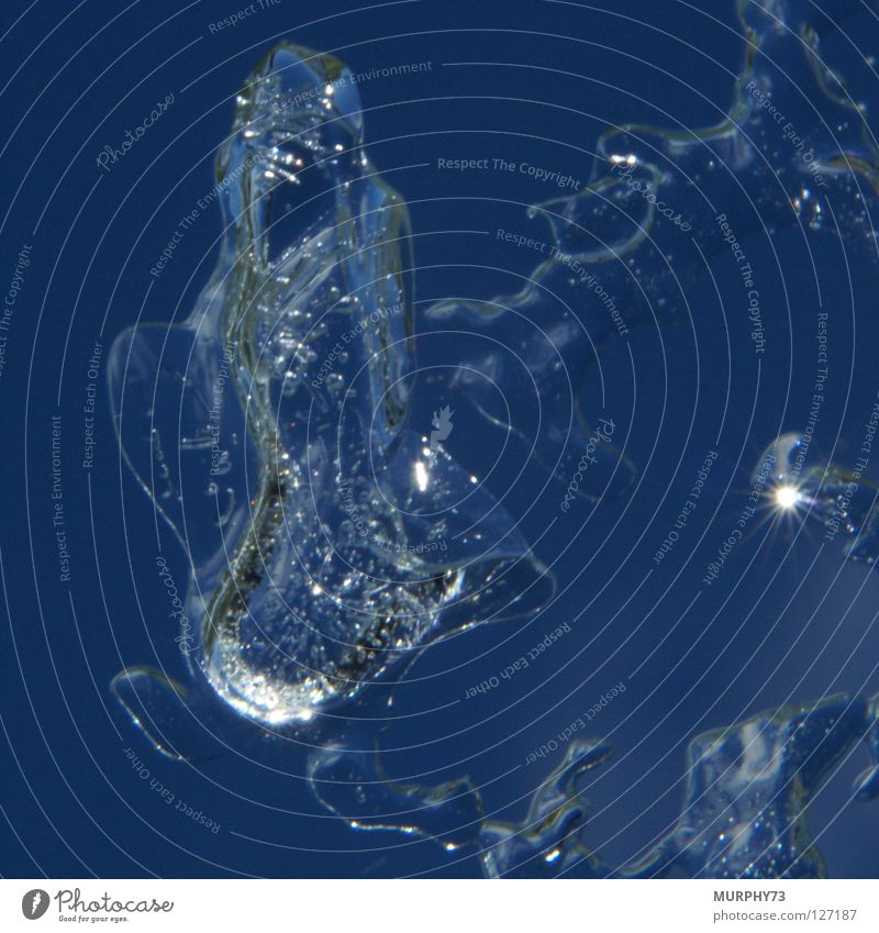 Eisskulptur made by nature Skulptur gefroren kalt Silhouette Fensterscheibe Klarheit durchsichtig Winter Makroaufnahme Nahaufnahme Wasser hartes Wasser Raureif
