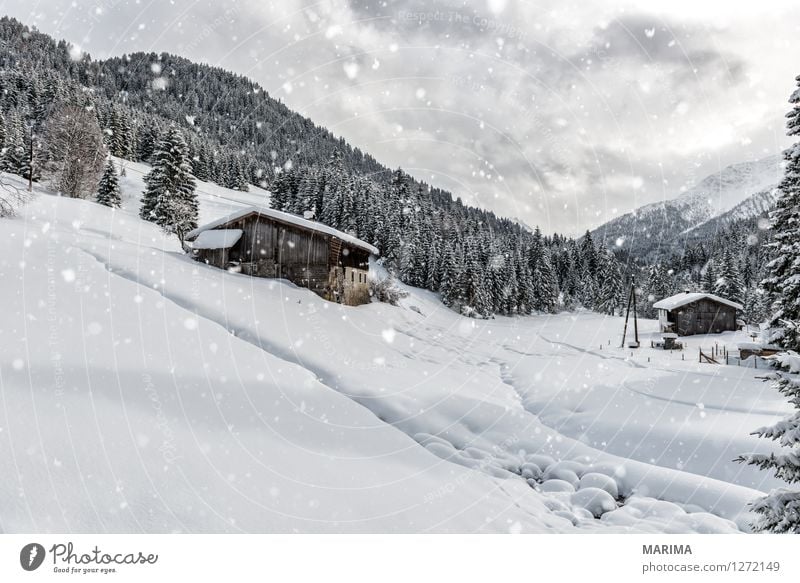 Winter landscape in the Alps ruhig Berge u. Gebirge Natur Landschaft Wolken Alpen kalt weiß mountains hill Deutschland Europa cold Lechtal Lechtaler Alpen calm