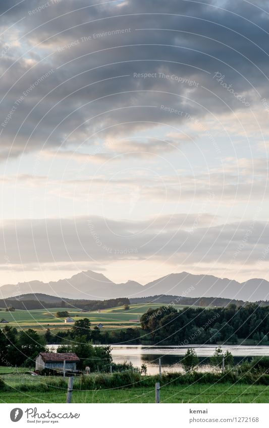 Bayrischer Bergblick Umwelt Natur Landschaft Himmel Wolken Sonnenlicht Sommer Wetter schlechtes Wetter Baum Feld Hügel Alpen Berge u. Gebirge Gipfel Seeufer