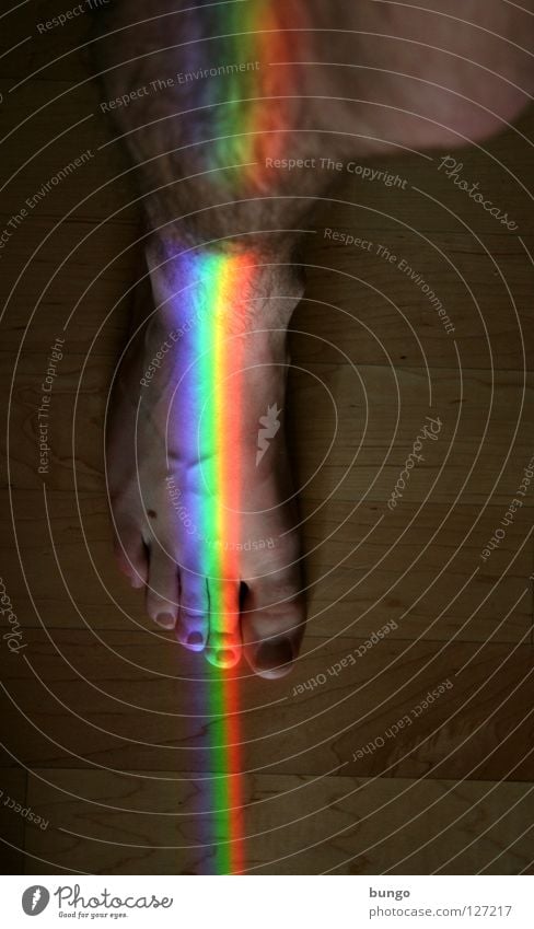 lux in gradum Zehen Regenbogen Muster mehrfarbig regenbogenfarben Spektralfarbe weiß Licht rot gelb Gefäße Mann Behaarung schön Haus Raum Parkett Holz