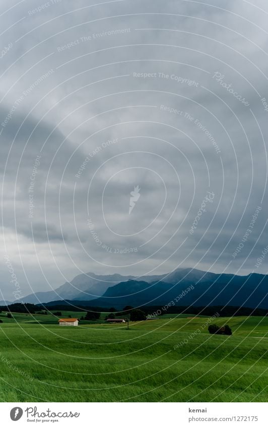 Bavaria Umwelt Natur Landschaft Pflanze Himmel Wolken Gewitterwolken Sonnenlicht Sommer Wetter schlechtes Wetter Unwetter Grünpflanze Nutzpflanze Kornfeld Feld